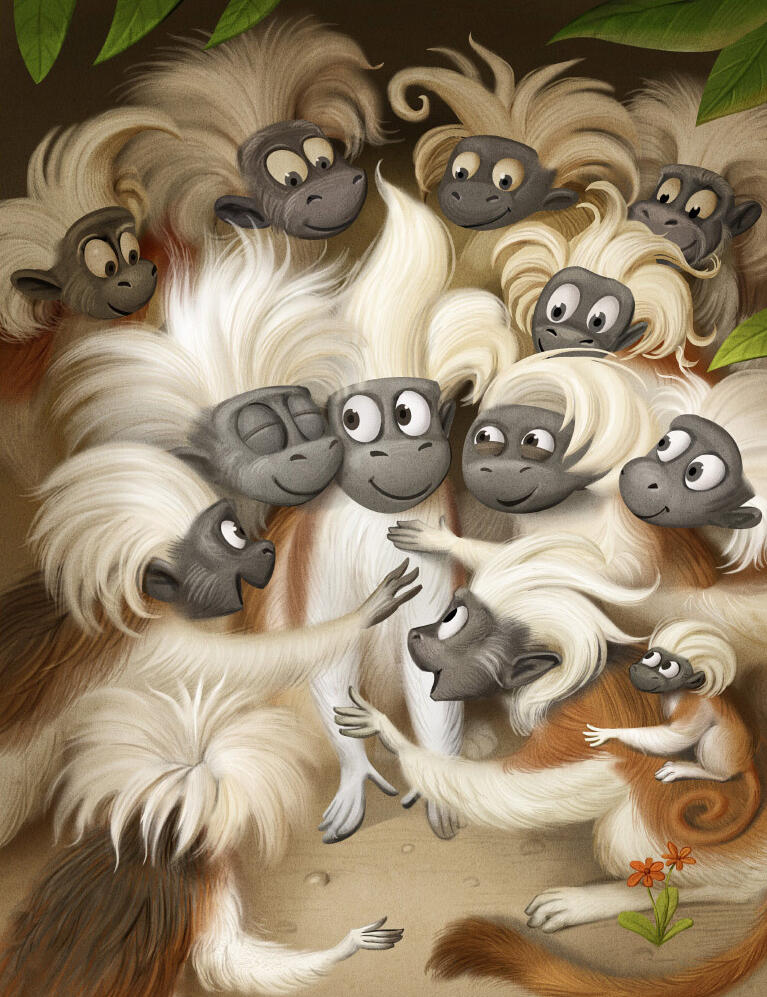 Tamarins family