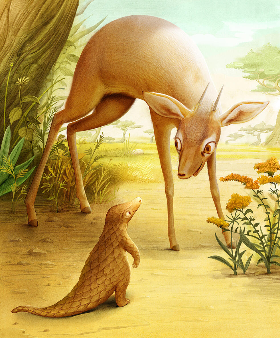 Pangopup meet Dik-dik